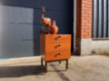 Picture of Belgian Combineurop chest of drawers